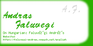 andras faluvegi business card